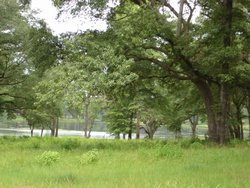 The Chatham