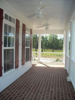 The Lilly