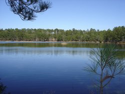 The Pointe North