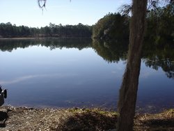 The Pointe North