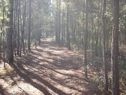 The Pointe North